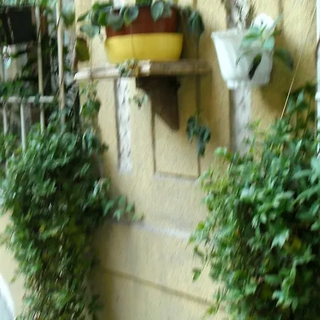 Homestay Lonyay *